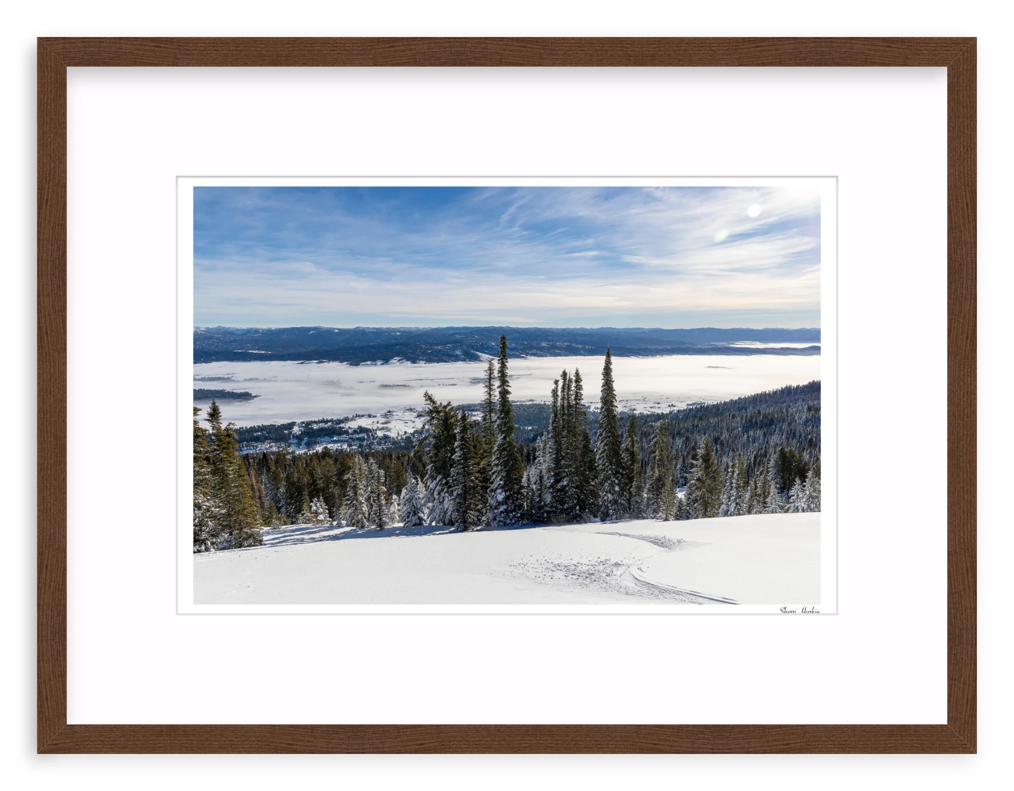Winter Single Track - Image 4