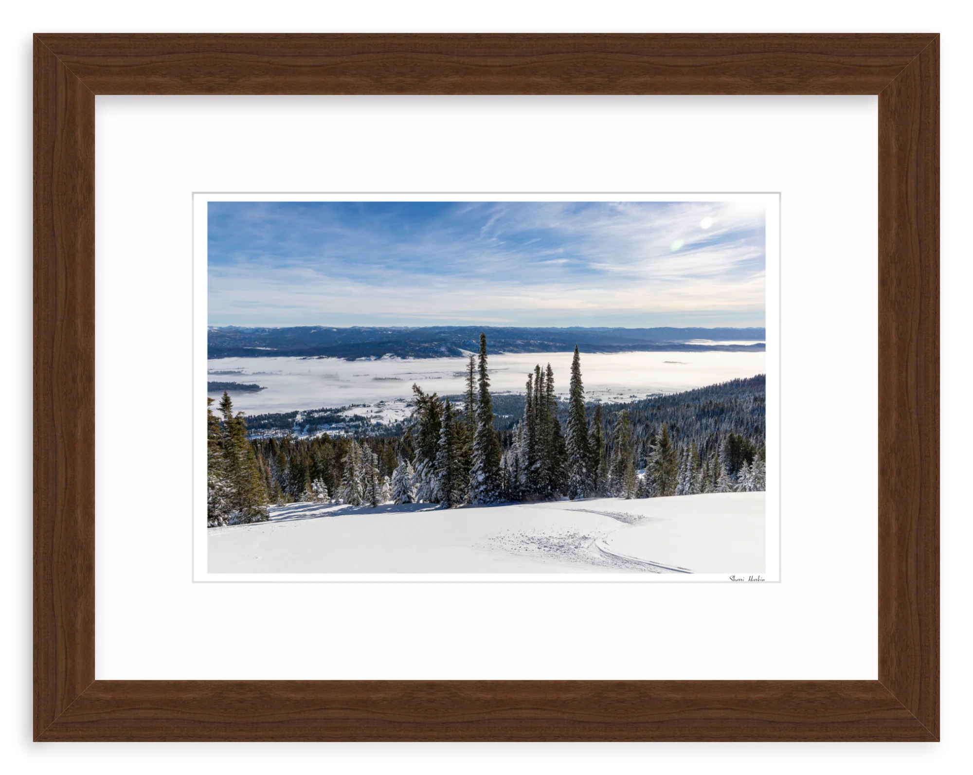 Winter Single Track - Image 7