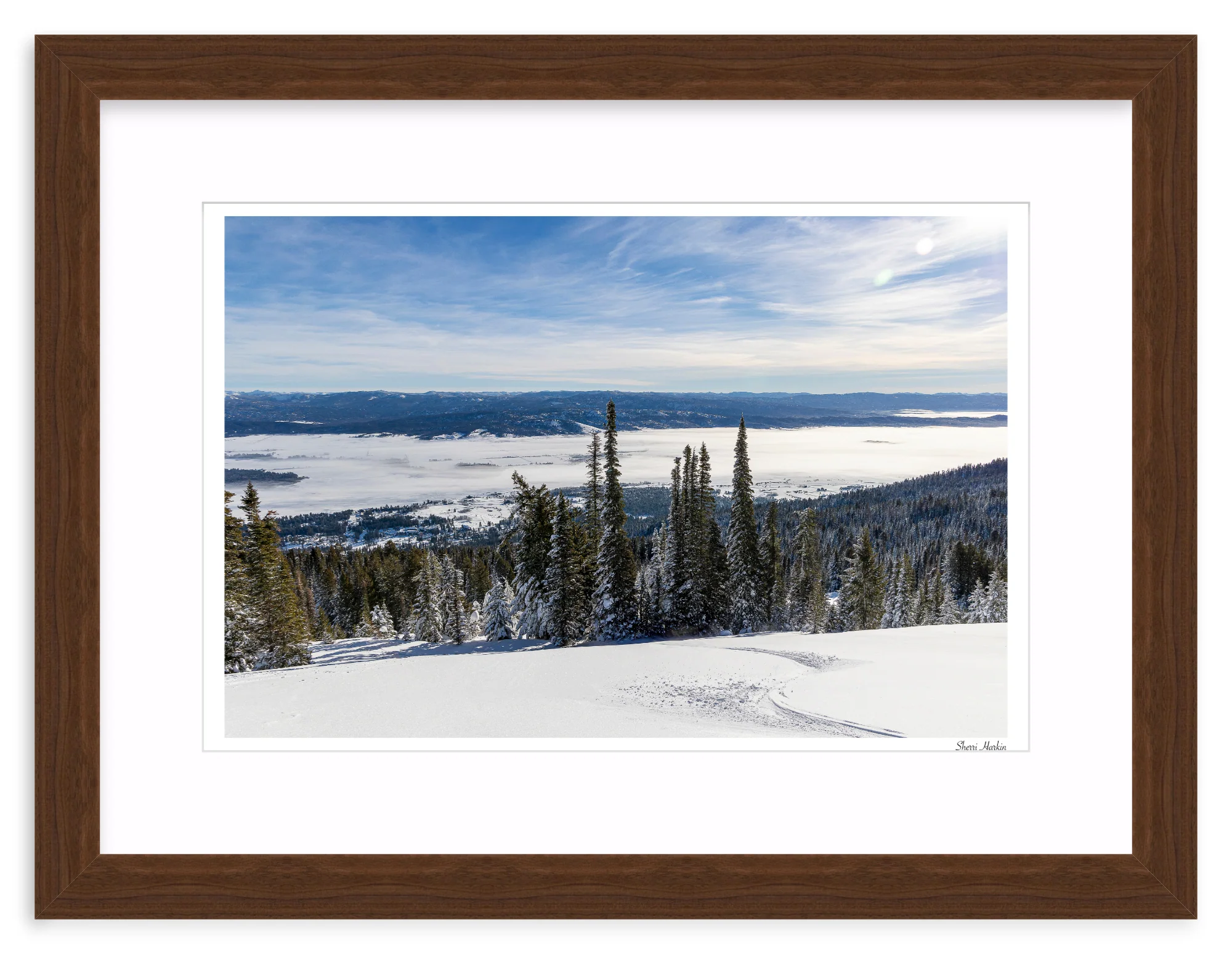 Winter Single Track - Image 8