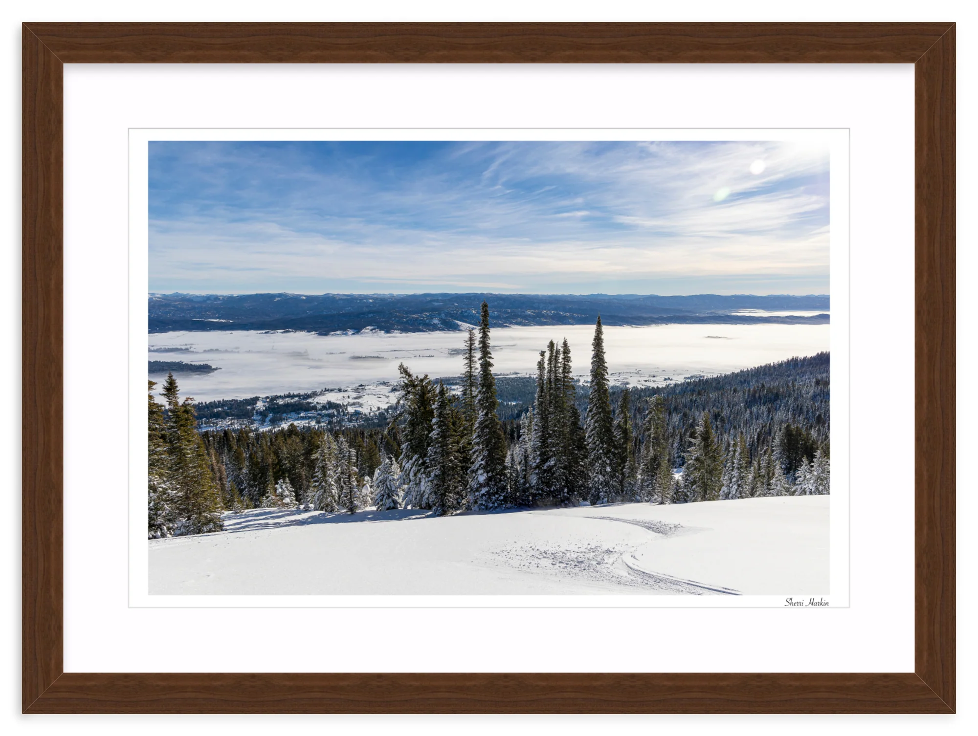 Winter Single Track - Image 9