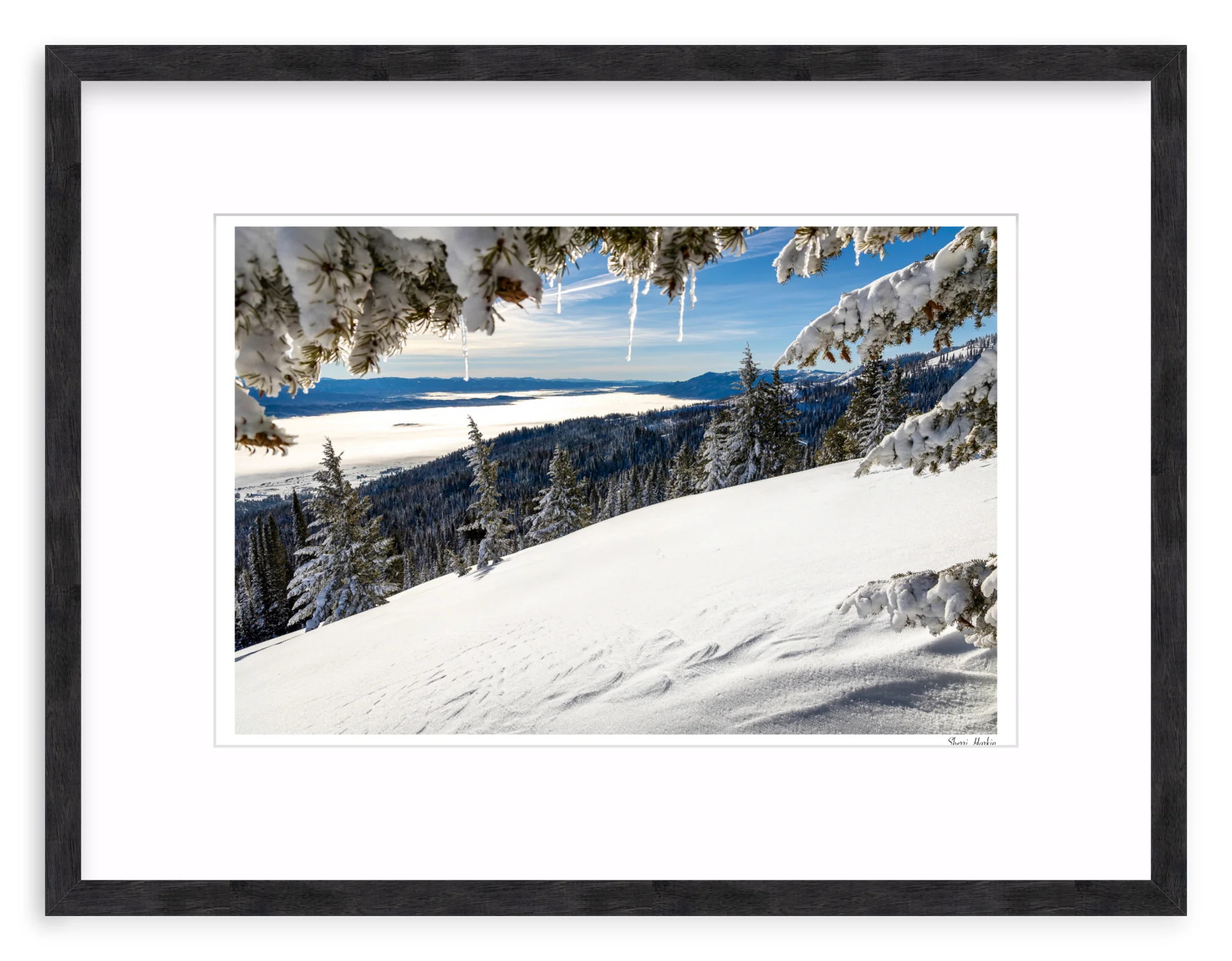 Winter View - Image 10
