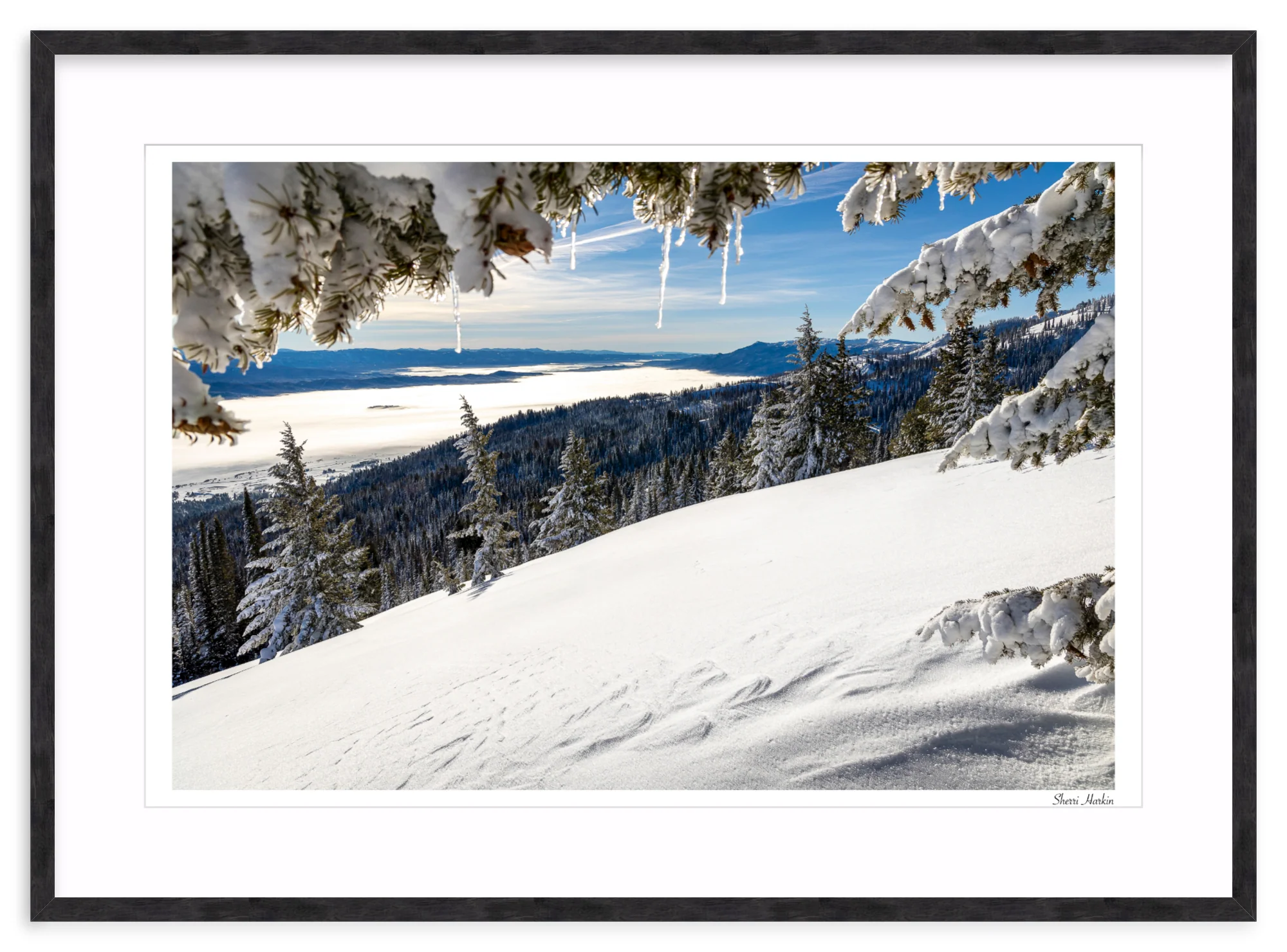 Winter View - Image 12