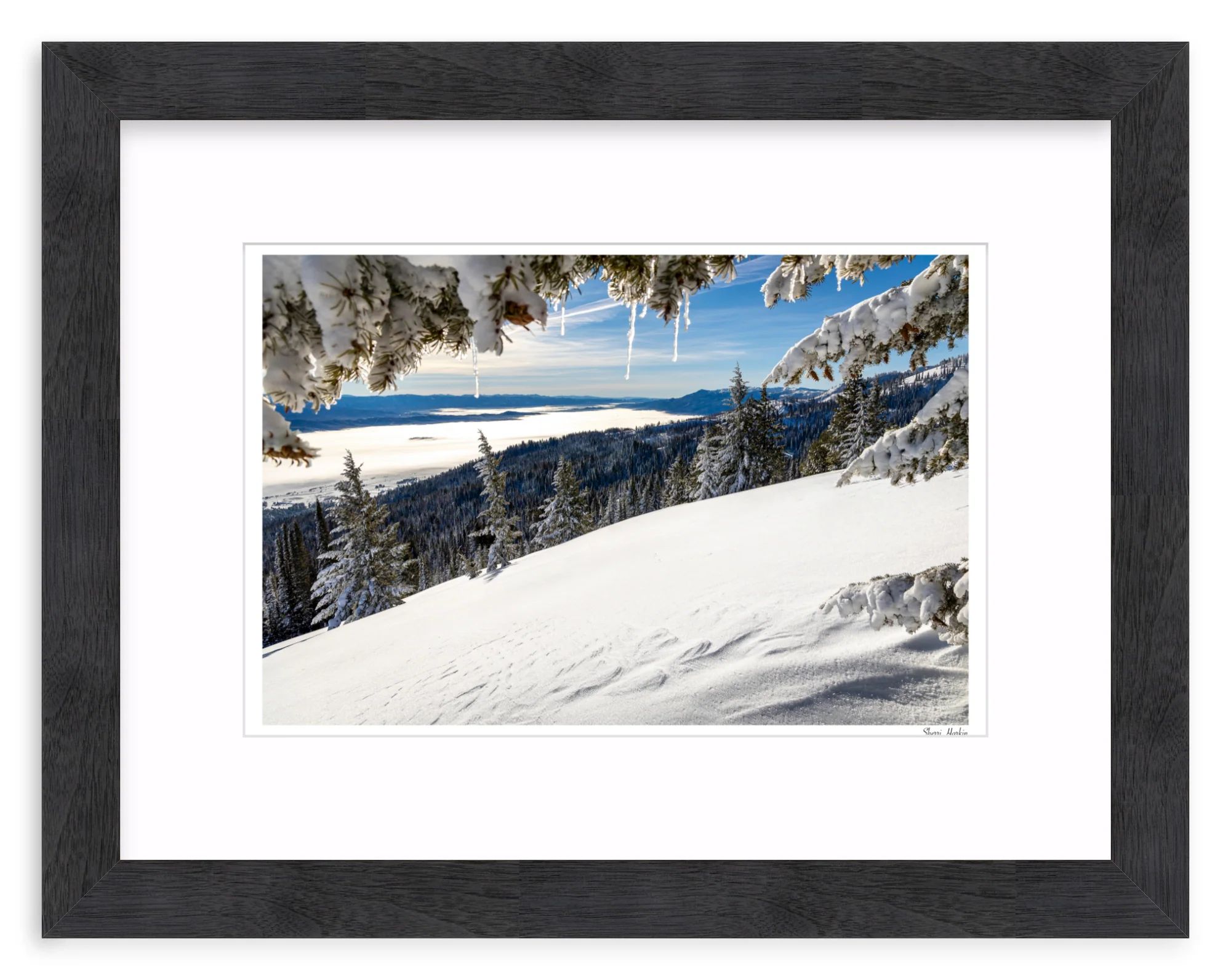 Winter View - Image 13