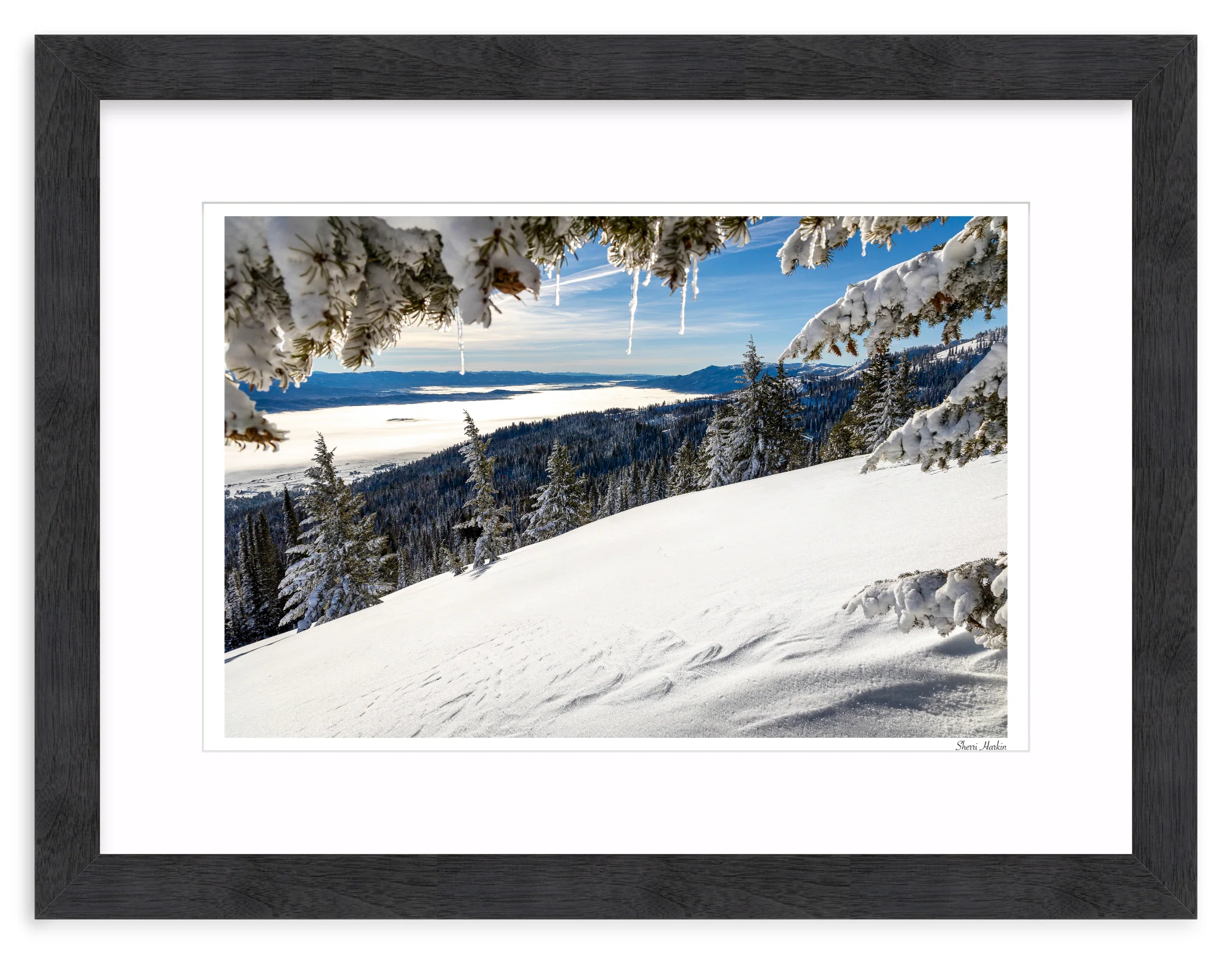 Winter View - Image 14