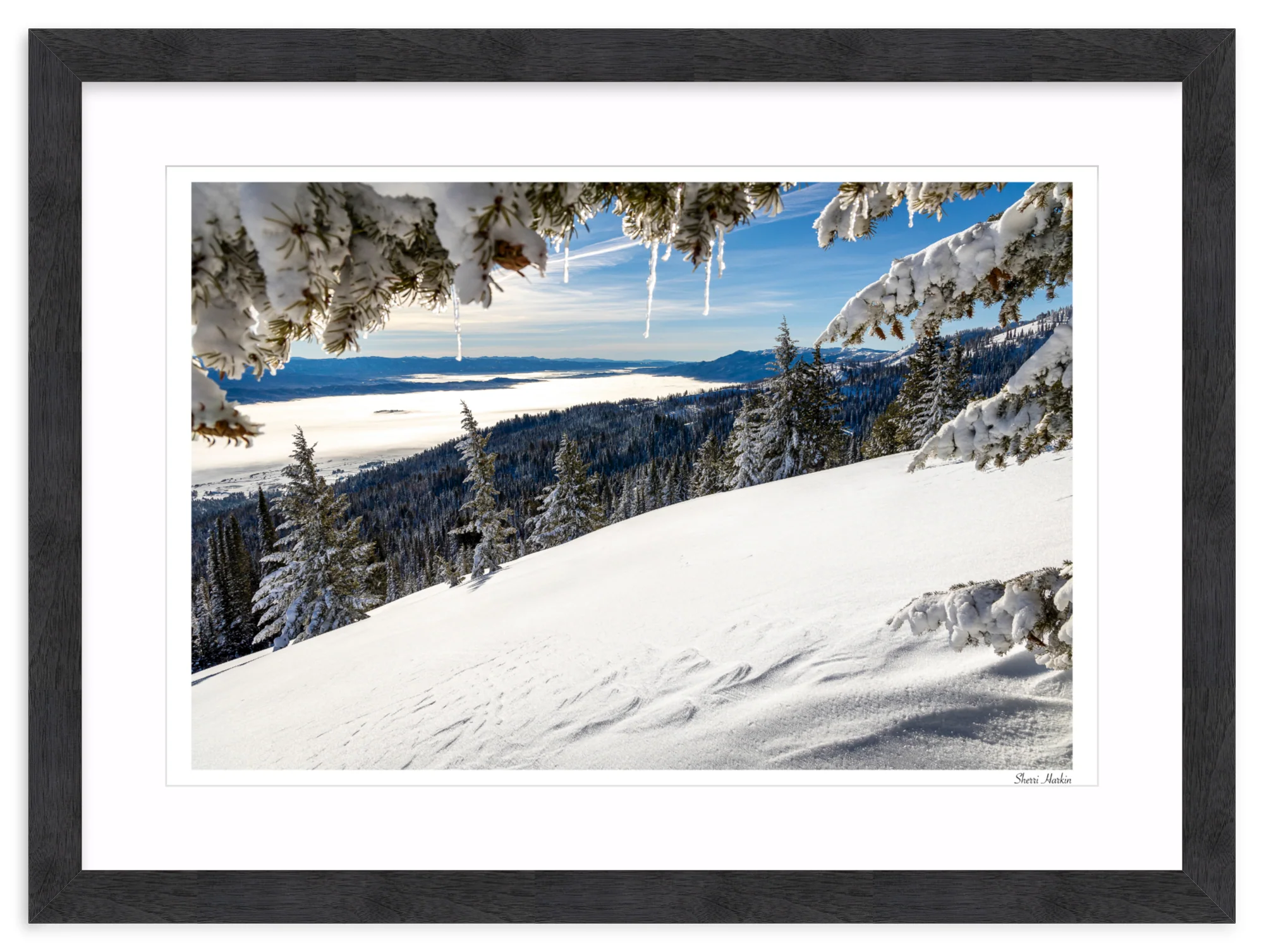 Winter View - Image 15