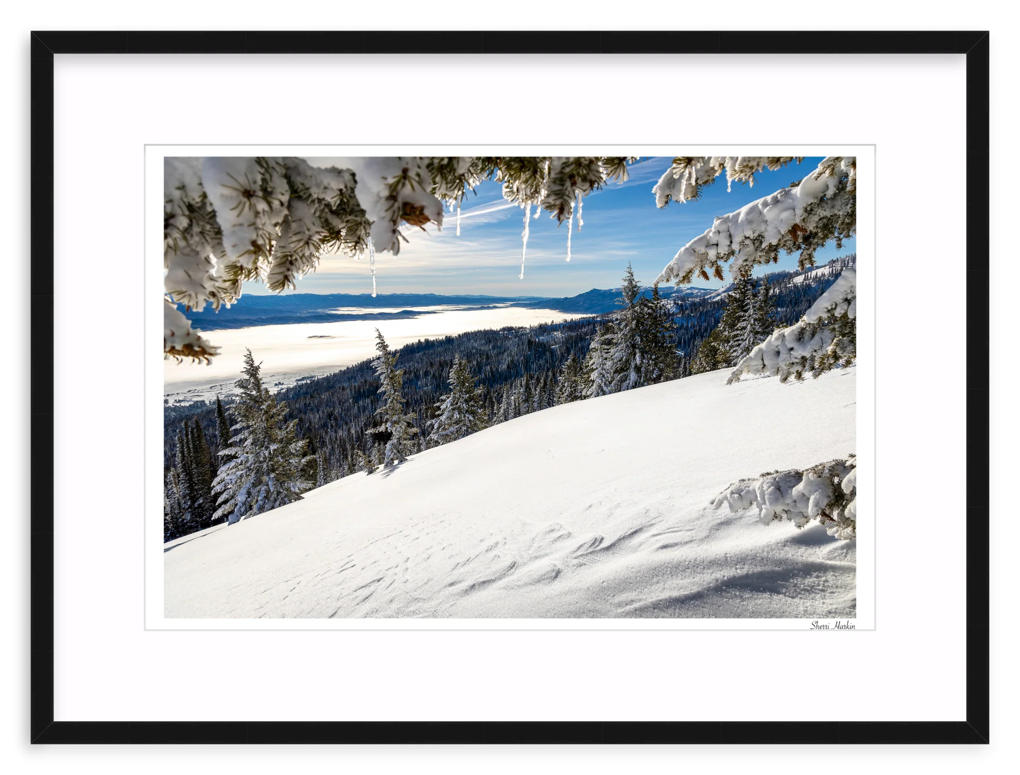 Winter View - Image 2
