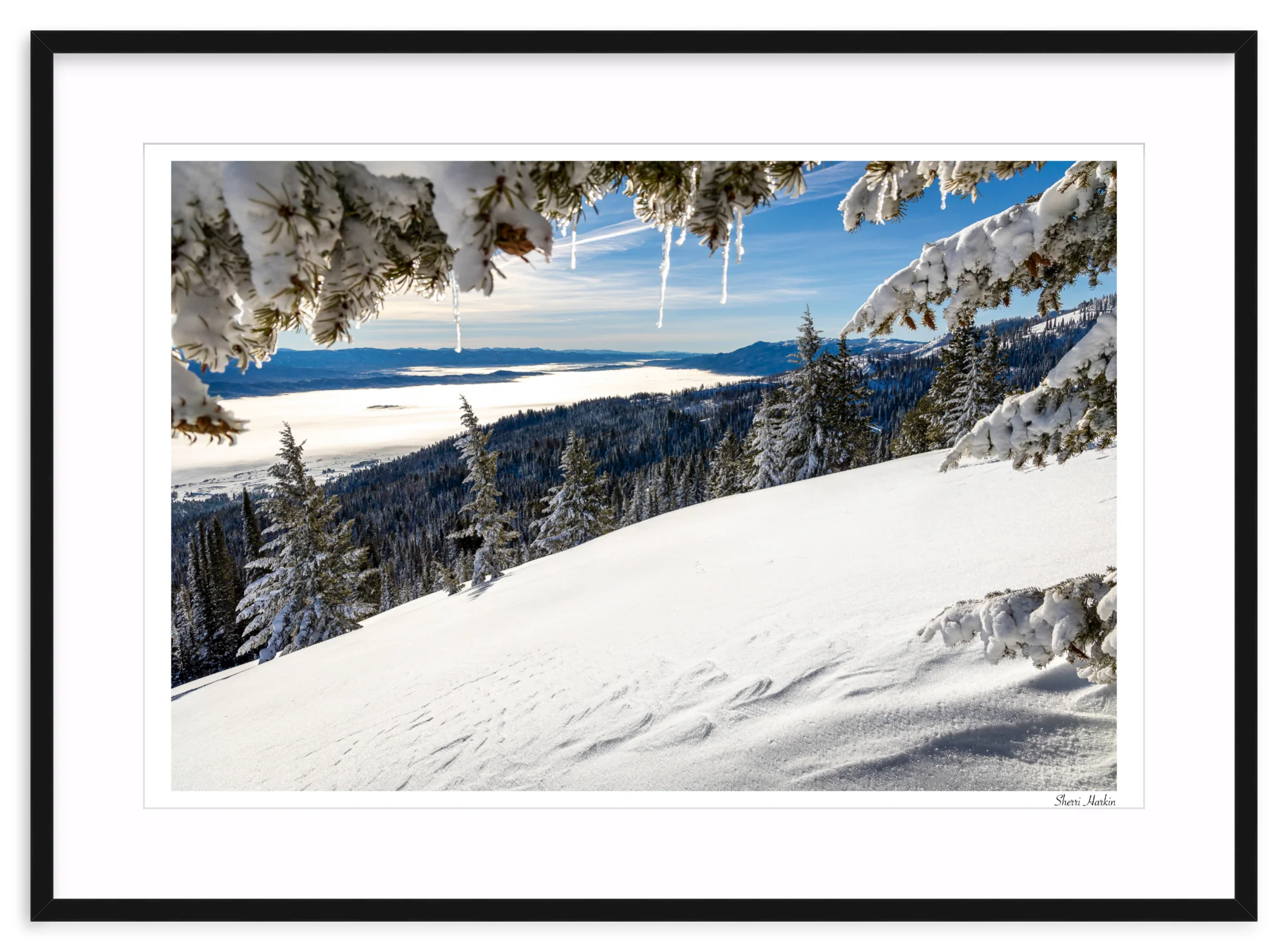 Winter View - Image 3