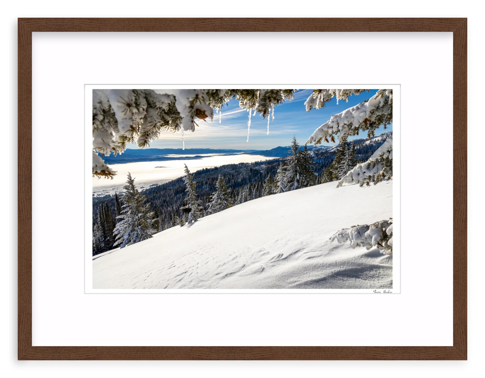 Winter View - Image 4