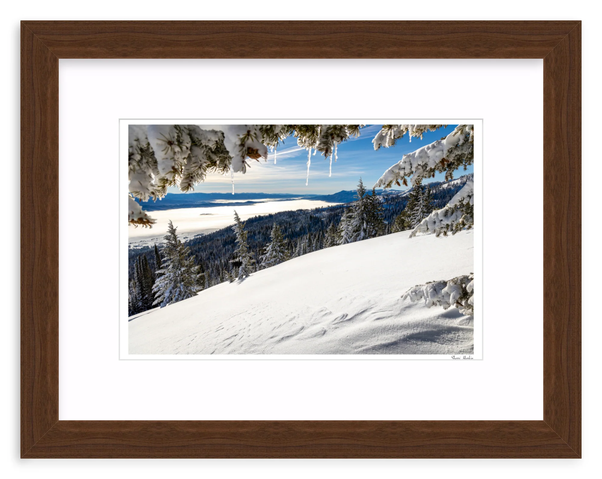Winter View - Image 7