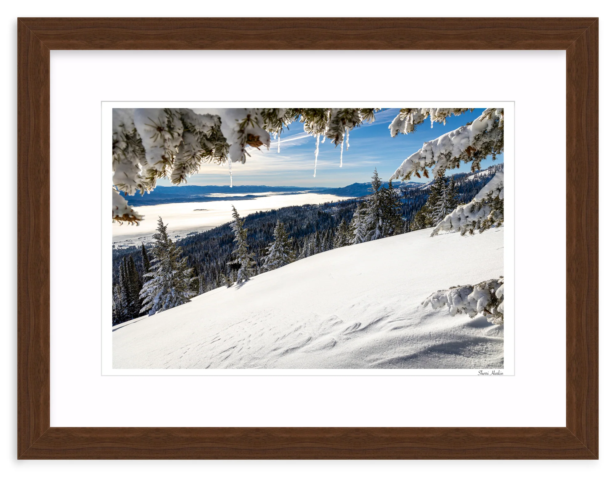 Winter View - Image 8