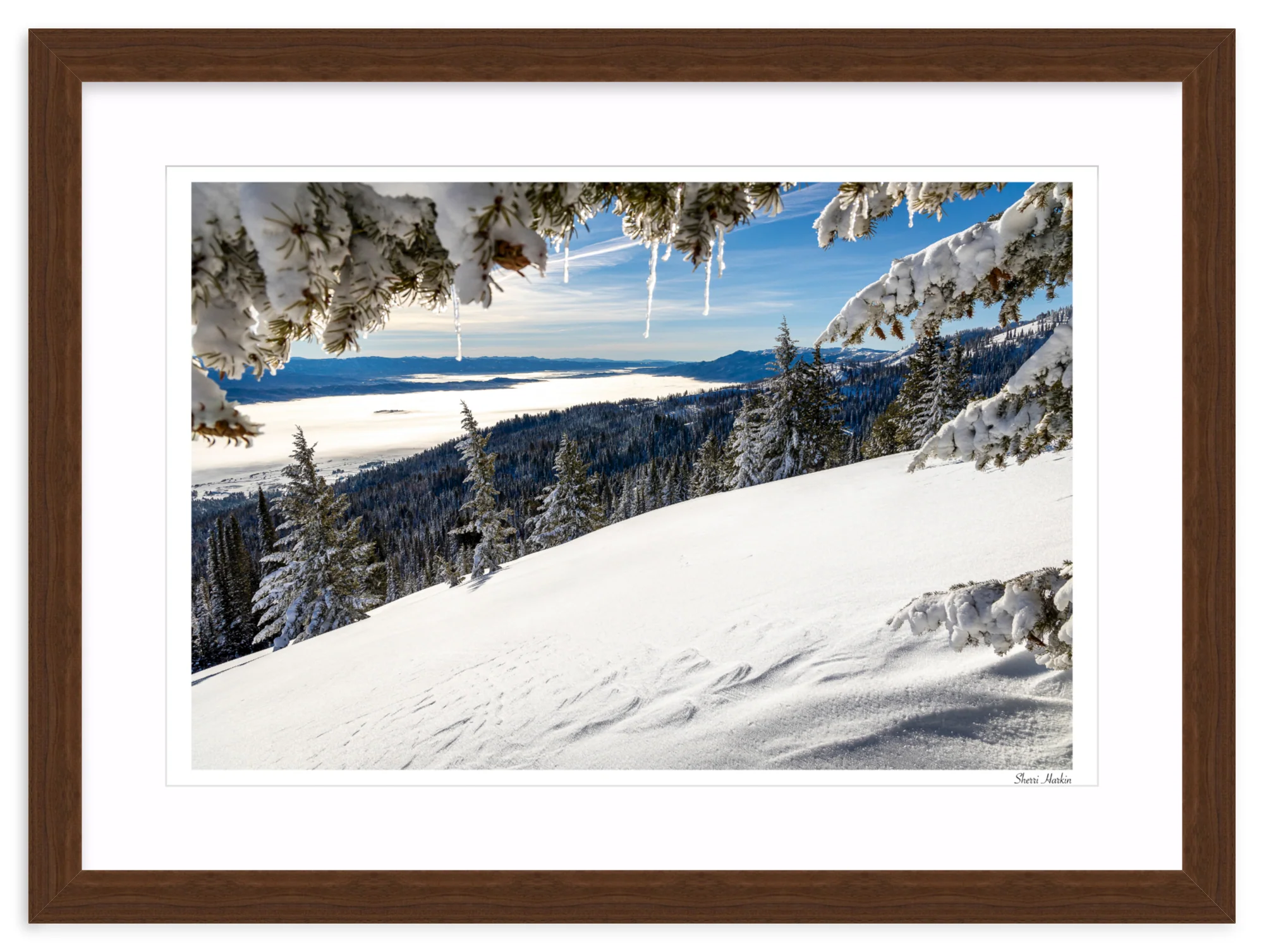Winter View - Image 9